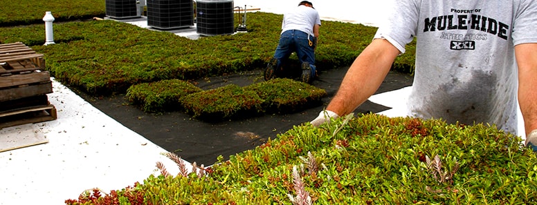 Harveys Roofing Images
