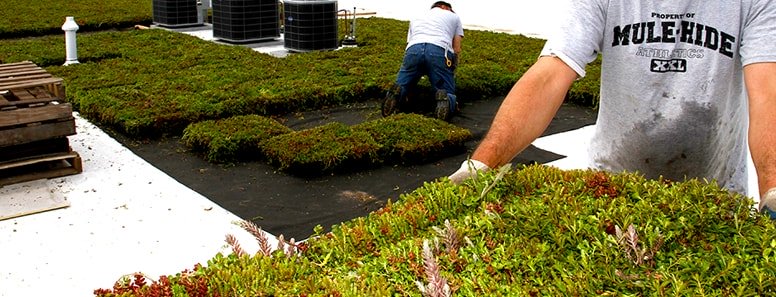 Harveys Roofing Images