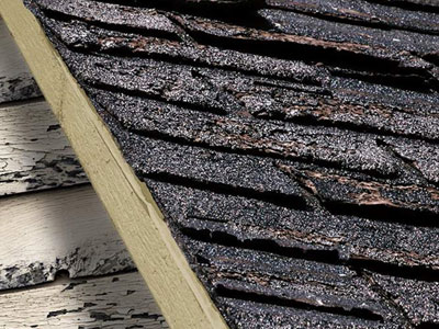 Harveys Roofing Images